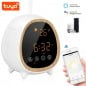 Tuya Diffusore di Aromi per Ambienti Smart WiFi con Sveglia Tuya Diffusore di Aromi per Ambienti Smart WiFi con Sveglia