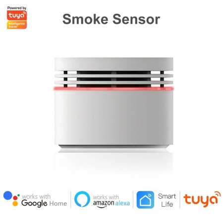 Smart Home-bescherming: Mini Smart Zigbee-rookmelder