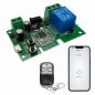 Module de relais Tuya Smart Zigbee avec télécommande RF433