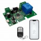 Tuya Smart Zigbee Relay Module with RF433 Remote Control