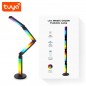 Lampe pliante LED RGBIC WiFi intelligente Tuya Lampe pliante LED RGBIC WiFi intelligente Tuya