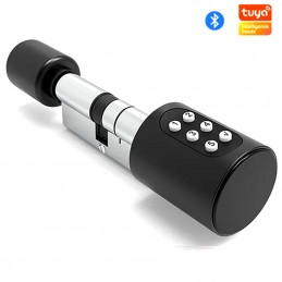 Serratura Smart: Accesso Sicuro con Password, Scheda IC, Chiave e App