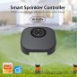 Tuya Smart WiFi 16-Zonen-Bewässerungscontroller