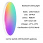 Tuya 24W LED plafonnier intelligent Bluetooth RGBCW ultra-mince Tuya 24W LED plafonnier intelligent Bluetooth RGBCW ultra-mince