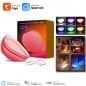 Lámpara de ambiente de mesa LED WiFi inteligente Tuya Lámpara de ambiente de mesa LED WiFi inteligente Tuya
