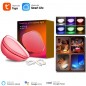 Lampe d'ambiance de table LED WiFi intelligente Tuya Lampe d'ambiance de table LED WiFi intelligente Tuya