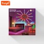 Feux d'artifice intelligents WiFi RGBIC Tuya 120 LED Feux d'artifice intelligents WiFi RGBIC Tuya 120 LED