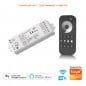 Tuya Controller a 2 Canali per Strisce LED Smart WiFi ed RF Tuya Controller a 2 Canali per Strisce LED Smart WiFi ed RF