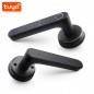 Tuya 4-en-1 Bluetooth Smart Lock con huella digital