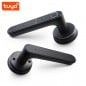Tuya Serratura Smart Bluetooth con Impronta Digitale 4 in 1 Tuya Serratura Smart Bluetooth con Impronta Digitale 4 in 1