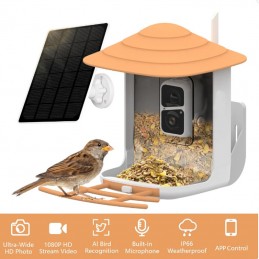 VicoHome Dispensador de Pájaros con Cámara WiFi Inteligente y Panel Solar