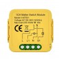 Module de relais de commutateur intelligent Tuya Matter Module de relais de commutateur intelligent Tuya Matter
