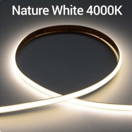 Striscia LED COB 528 DC24V Impermeabile 5 Metri