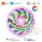 Tira LED Tuya 3 Pin RGB+IC 5 metros Impermeable
