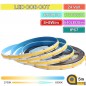 Bande LED COB CCT DC24V avec 640 LED par mètre – 5 mètres