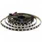 Digitale LED-strip WS2818 RGBIC 60 LED's per meter DC12V 5 meter Digitale LED-strip WS2818 RGBIC 60 LED's per meter DC12V 5 meter