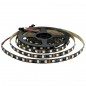 Tira LED Digital WS2818 RGBIC 60 LED por Metro DC12V 5 Metros Tira LED Digital WS2818 RGBIC 60 LED por Metro DC12V 5 Metros