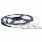 896 LEDs pro Meter DC24V 5 Meter RGBCW COB LED-Streifen 896 LEDs pro Meter DC24V 5 Meter RGBCW COB LED-Streifen