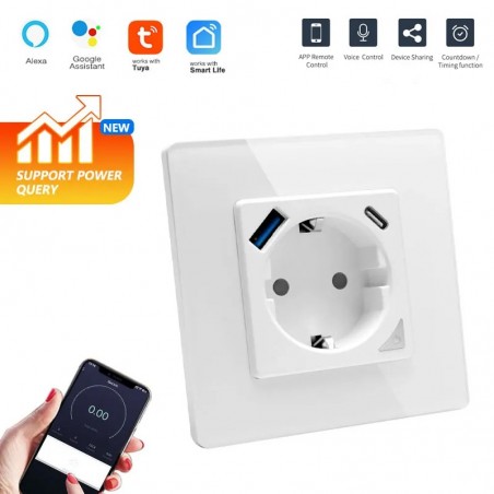 Prise murale Tuya Smart Schuko avec sortie USB et Type-C