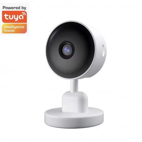 Telecamera Smart Economica: Visione Notturna e Audio Bidirezionale