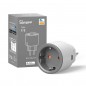 Prise WiFi intelligente Sonoff S60 iPlug