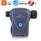 Minuterie d'irrigation Tuya Smart ZigBee avec compteur d'eau intégré Minuterie d'irrigation Tuya Smart ZigBee avec compteur d'eau intégré