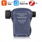 Minuterie d'irrigation Tuya Smart ZigBee avec compteur d'eau intégré Minuterie d'irrigation Tuya Smart ZigBee avec compteur d'eau intégré