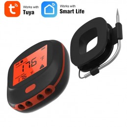 Slimme BBQ-thermometer met twee sondes | Elke keer weer een perfecte barbecue