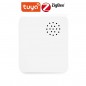 Tuya Rilevatore di Vibrazioni Smart Zigbee con Sirena Tuya Rilevatore di Vibrazioni Smart Zigbee con Sirena