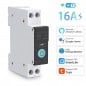 Tuya Smart WiFi Switch on DIN Rail with Energy Meter Tuya Smart WiFi Switch on DIN Rail with Energy Meter