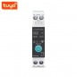 Tuya Smart Switch WiFi su Guida DIN con Contatore di Energia Tuya Smart Switch WiFi su Guida DIN con Contatore di Energia