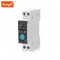 Tuya Smart WiFi Switch on DIN Rail with Energy Meter Tuya Smart WiFi Switch on DIN Rail with Energy Meter