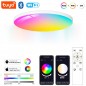 Plafonnier LED Tuya 24W Smart WiFi et Bluetooth RGBCW ultra fin Plafonnier LED Tuya 24W Smart WiFi et Bluetooth RGBCW ultra fin