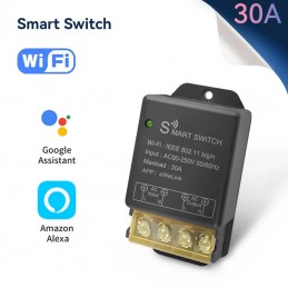 30A High Power Smart WiFi 1-kanaals relaismodule Compatibel met eWeLink