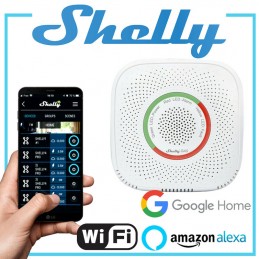 Shelly Gas Sensor CNG Methaangas Detector