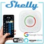 Capteur de gaz Shelly Capteur de gaz Shelly