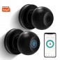 Tuya Smart Bluetooth Fingerabdruck-Knopfschloss Tuya Smart Bluetooth Fingerabdruck-Knopfschloss