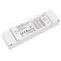 Tuya Driver per LED a Corrente Costante Smart WiFi ed RF da 12W Tuya Driver per LED a Corrente Costante Smart WiFi ed RF da 12W