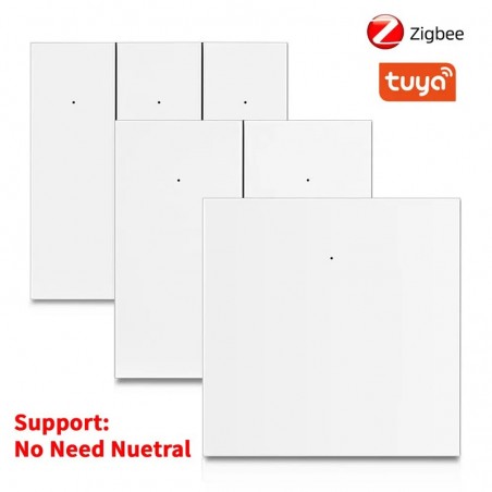 Tuya Smart Zigbee Interrupteur à bouton-poussoir physique - Expert4house