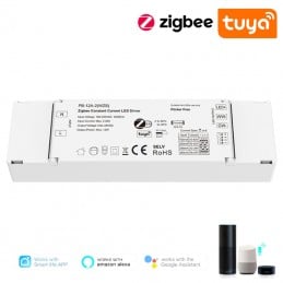 Pilote LED Tuya à courant constant CCT - Smart Zigbee 12 W à intensité variable
