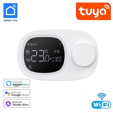 Acquista Termostato Smart a Batteria – Controllo Remoto per Caldaie