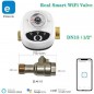 Smart WiFi Automatisierter Kugelhahn, kompatibel mit eWeLink Smart WiFi Automatisierter Kugelhahn, kompatibel mit eWeLink