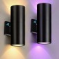 Tuya Up & Down Smart WiFi & Bluetooth LED-Außenwandleuchte Tuya Up & Down Smart WiFi & Bluetooth LED-Außenwandleuchte