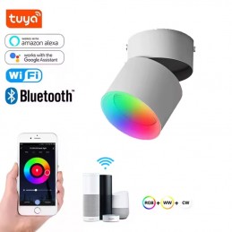 Slimme WiFi RGB+CCT 9W LED-spot – Verstelbare binnenverlichting