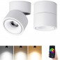 Tuya Smart WiFi en Bluetooth 9W verstelbare LED-binnenspot Tuya Smart WiFi en Bluetooth 9W verstelbare LED-binnenspot