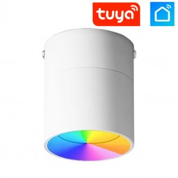 Smart WiFi RGB+CCT 9W LED-Strahler – Einstellbar für den Innenbereich