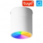 Tuya Smart WiFi und Bluetooth 9W verstellbarer LED-Innenstrahler