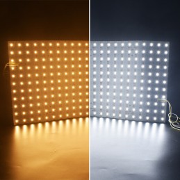 Feuille LED flexible 24 V CCT 440 LED pour rétroéclairage