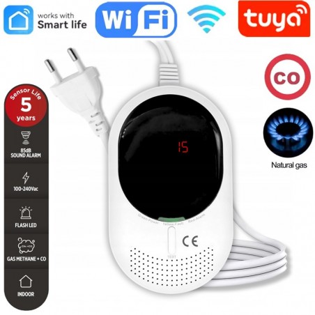 Smart WiFi Tuya Gas- en CO-detector – Alarm voor hotels en B&B's