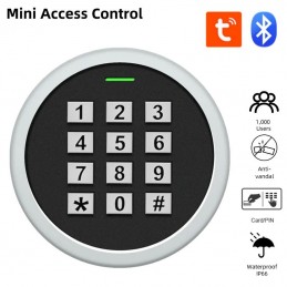 Tuya Mini Access Controller...